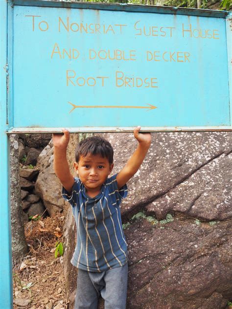 Double Decker Root Bridge An Important Step By Step Trekking Guide For