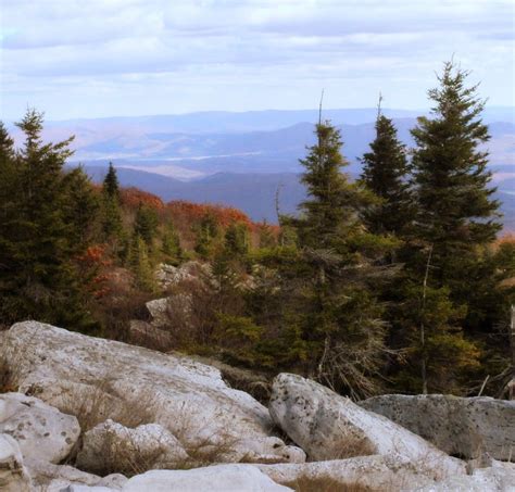 Dolly Sods Wilderness In West Virginia Beautiful Places Natural