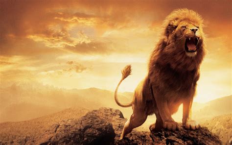 Le monde de narnia : Narnia Lion, HD Movies, 4k Wallpapers, Images, Backgrounds ...