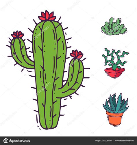 Cactus Con Flores Animados Chile Hotels Luxury