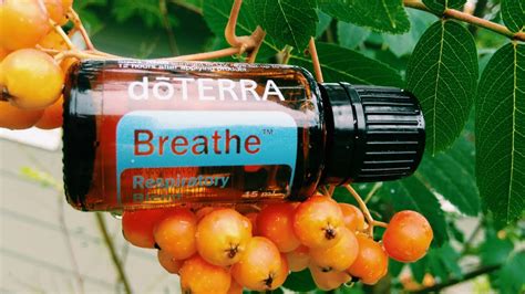 How To Use Doterra Breathe Essential Oil Blend Youtube