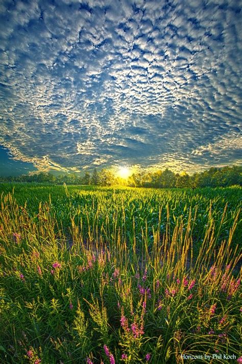 All At Once Wisconsin Horizons By Phil Koch Phil Koch