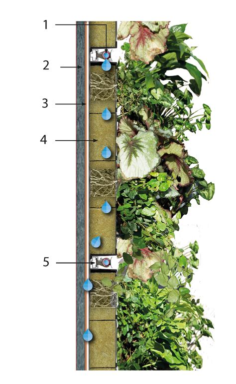 Green Wall Specification And Drawings Biotecture