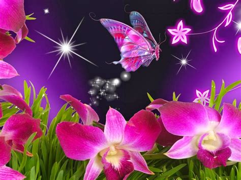 Beautiful Flowers And Butterflies Wallpapers Gallery