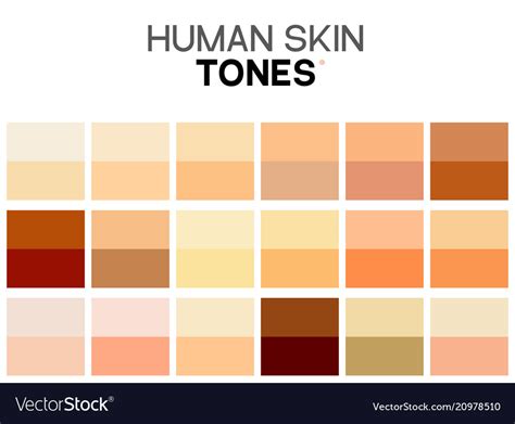 Skin Tone Color Chart Human Texture Color Vector Image