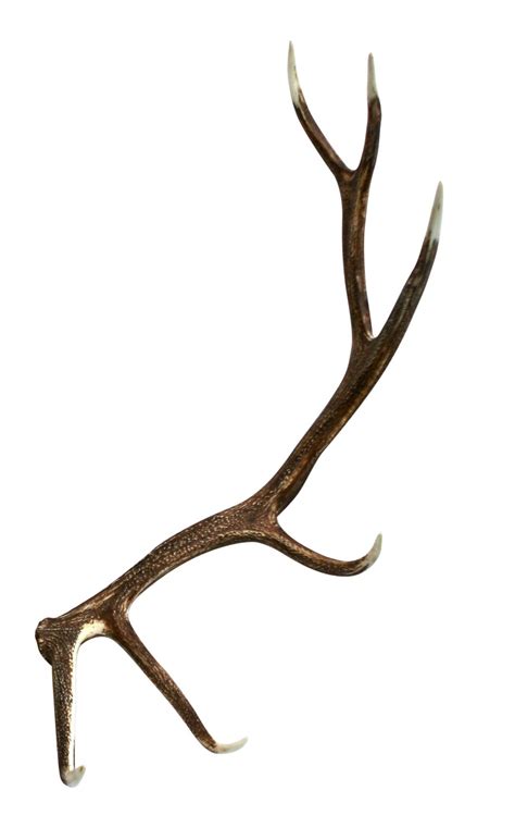 Elk Faux Antler Cast Horn Designs