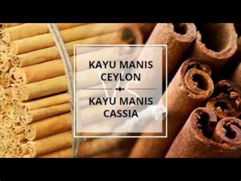 Khasiat dari kayu manis telah terbukti baik untuk kesehatan tubuh. Kulit Kayu Manis Ceylon - YouTube