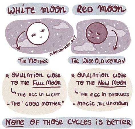 Pin By Lesley Newey On Womens Health Red Moon Cycle Moon Cycles