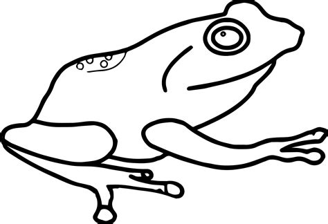 Rainforest Frogs Coloring Pages Coloring Pages