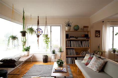 Decorating Our Homes With Plants Interior Design Explained