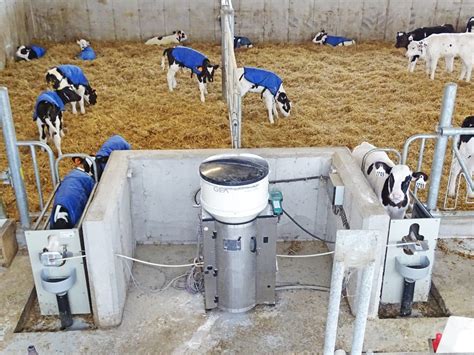Gea Automatic Calf Feeder Dairy Lane Systems