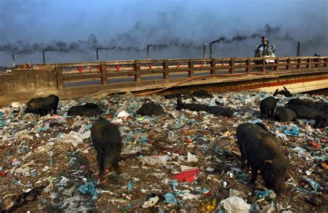 Pollution In Bangladesh By Probal Rashid