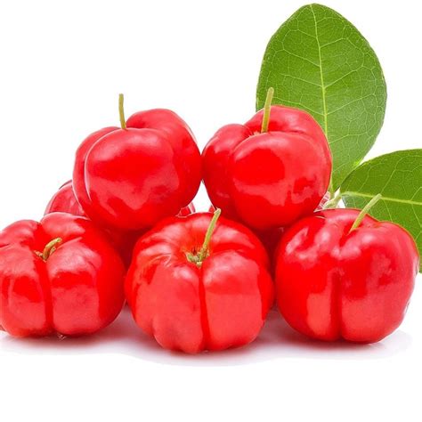 Acerola Seeds Barbados Cherry Malpighia Glabra Price 9 00
