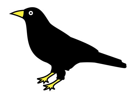 Common Blackbird Png Bestand Downloaden Gratis Png All