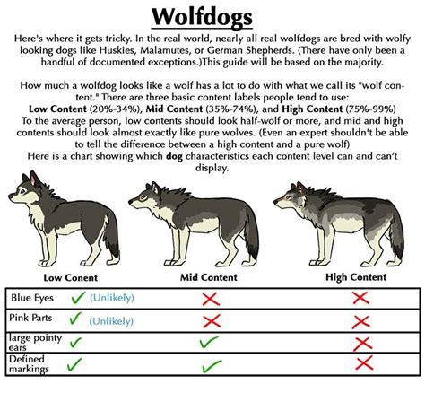 Dire Wolf Vs Wolf Size Comparison Wallpaperin