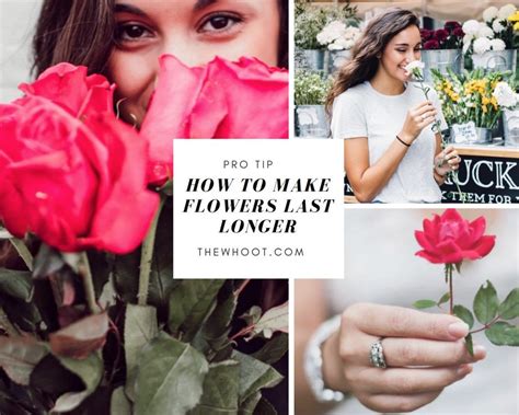 Want to know how to keep fresh flowers alive longer than ever? How To Keep Fresh Flowers Alive Video Instructions (With ...