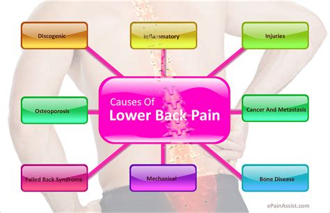 Lower Back Pain In Older People 65 Year Old Complaining Of Back Pain