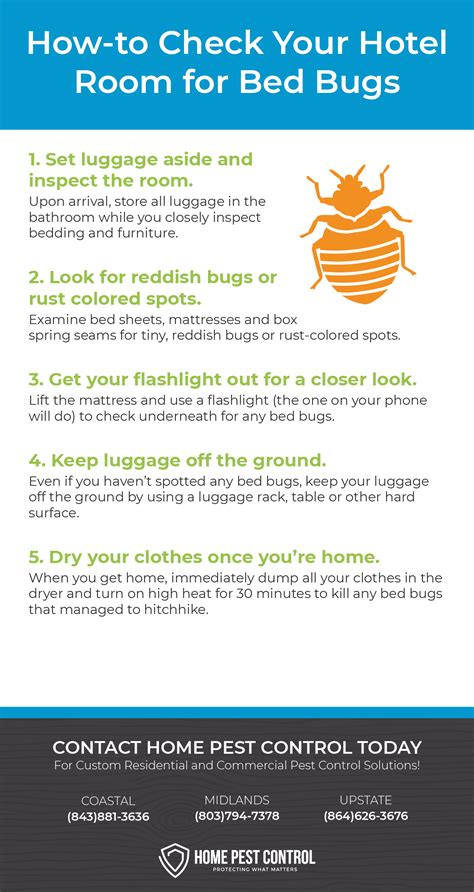 How To Check For Bed Bugs In Hotels Home Pest Control