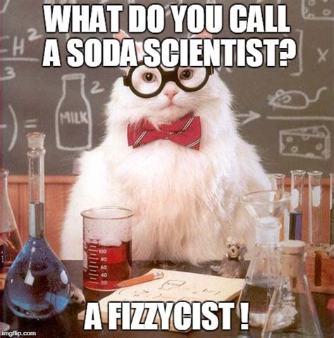 Science Cat Imgflip