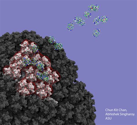 Scientists Examine Rare Blood Clots Linked To Adenovirus Covid