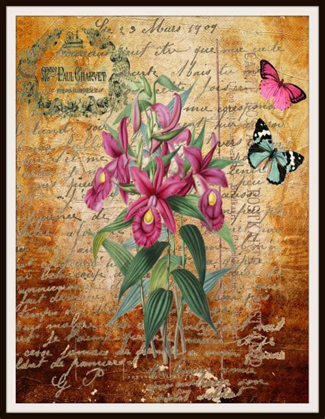 Vintage Art Print Botanical Flowers On Ephemera Print