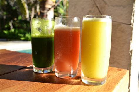 Then, during the week, i like to prepare the individual juices each day, for. Fruit Juice Recipes For A Sunny Day