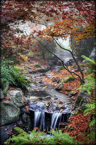 Park Stream In The Fall Landscape Beautiful Landscapes Scenery