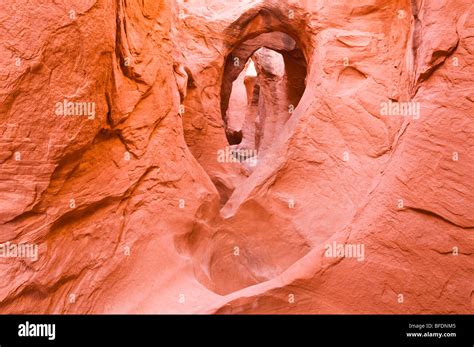 Sandstone Formations In Peek A Boo Gulch Grand Staircase Escalante