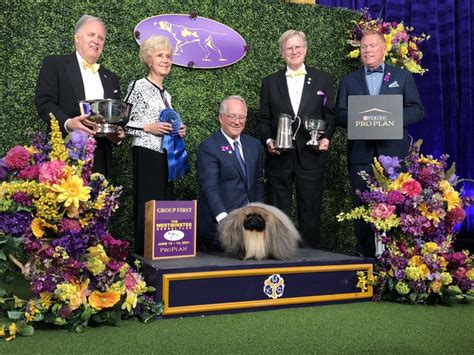 The Kennel Club 145th Westminster Kennel Club Dog Show Roundup