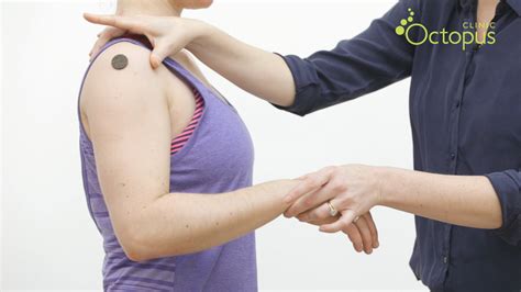 13 Shoulder Posture With Movement Octopus Clinic Physiotherapy