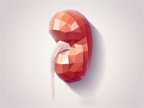 We did not find results for: Kidney Problems: How much do they really cost?