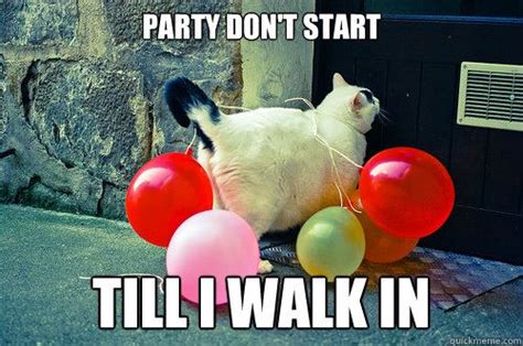 Cat Party Quickmeme Bones Funny Lol Funny Pictures