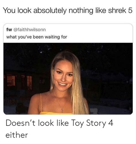 You Look Absolutely Nothing Like Shrek 5 Fw What Youve Been Waiting