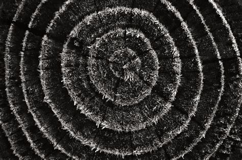 Wallpaper Spiral Macro Rings Symmetry Ice Frost Pattern Canon