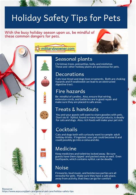 Holiday Safety Tips For Pets Safety Tips Holiday Pets
