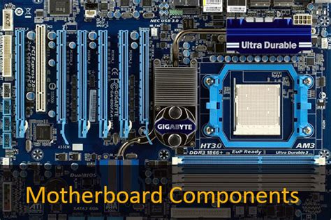 The motherboard is a critical component of your computer. 20 Main Motherboard Components and Their Functions ...