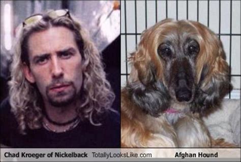 The 14 Most Brutal Nickelback Memes Of All Time