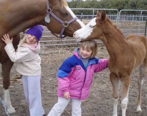 Working With Horses May Help Ease Stress In Kids 512014 David