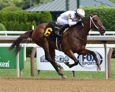 Lady Lilly Phoenix Thoroughbreds