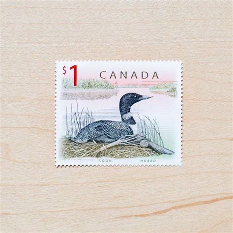 Tips for addressing letters and parcels mailed within canada. Loon Postage Stamps Canada, Wedding Calligraphy Envelopes, Letter Writing, Postcards, Canadian ...