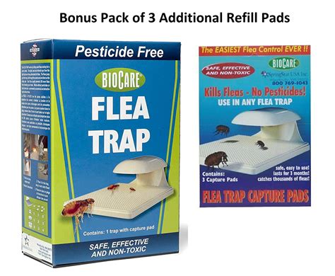 Best Carpet Spray For Fleas Home Appliances