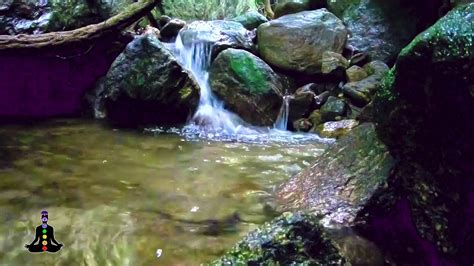 Soothing Water Sounds Forest Waterfall Nature Sounds Birds