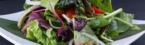 Los mejores restaurantes vegetarianos de barcelona. Cursos de cocina vegetariana - Vive Come Ama