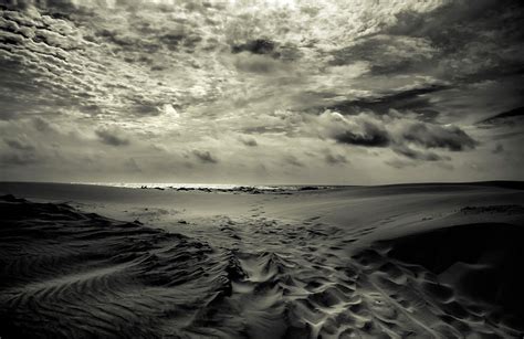 Mystical Beach Photograph By Tabitha Williams Fine Art America