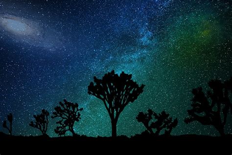 Hd Wallpaper Trees Under Starry Night Wallpaper Starry Sky Joshua