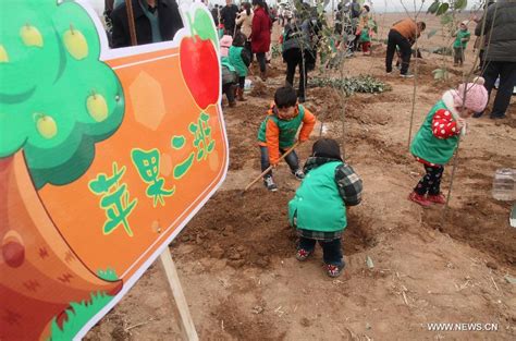 Children Participate In Tree Planting Activity In C China Cn