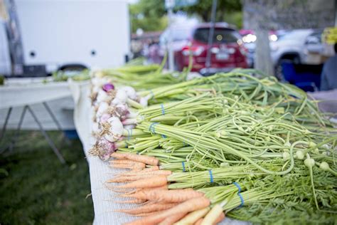Market Information — Main Street Hanford
