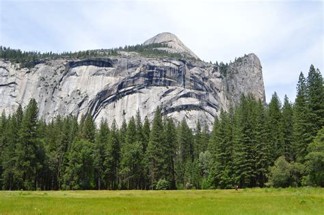 Gray Rock Mountain Above Green Pine Trees Hd Wallpaper Wallpaper Flare