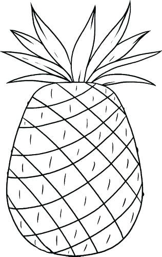 Pineapple Coloring Page At Getdrawings Free Download