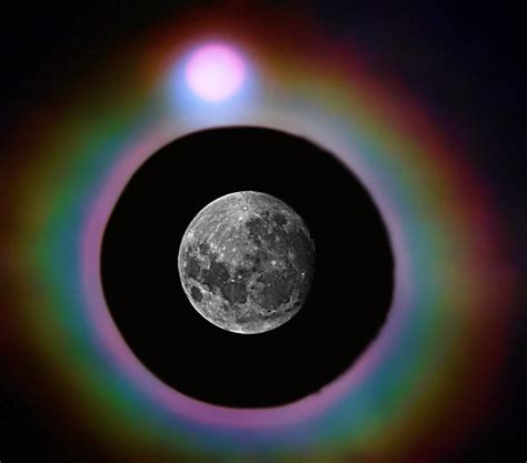 What Are Moon Pods Filled With - Bean Bag Bed